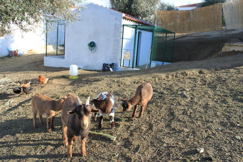 Hotel O Gato & Spa Odivelas  Εξωτερικό φωτογραφία